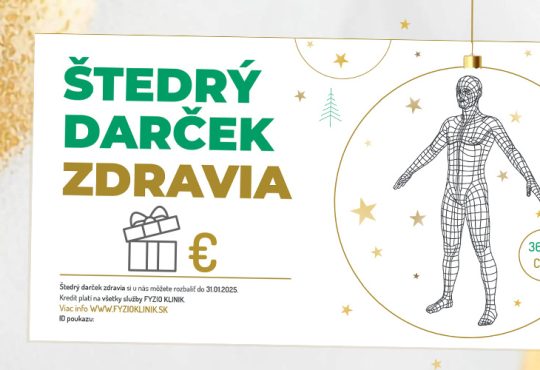 ŠTEDRÉ TIPY NA VIANOČNÉ DARČEKY